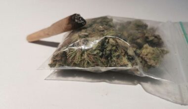 illustration agrandir l