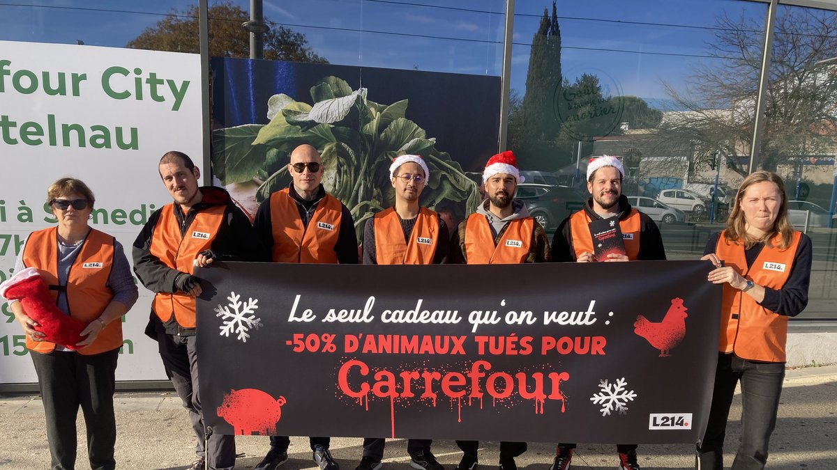"Petites cages, mutilations, sélection génétique…" : près de Montpellier, L 214 demande à Carrefour de diviser par deux le nombre d’animaux tués