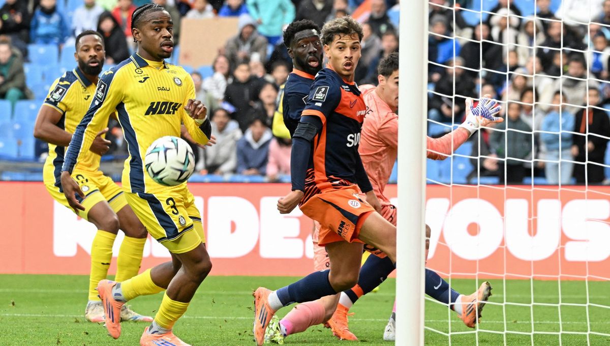 illustration agrandir l