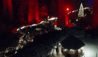 en Allemagne, la féerie du marché de la Forêt-Noire