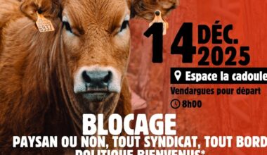 "Stop au massacre injustifié" : des agriculteurs de l’Hérault appellent à bloquer un rond-point de l’A9 près de Montpellier, ce dimanche