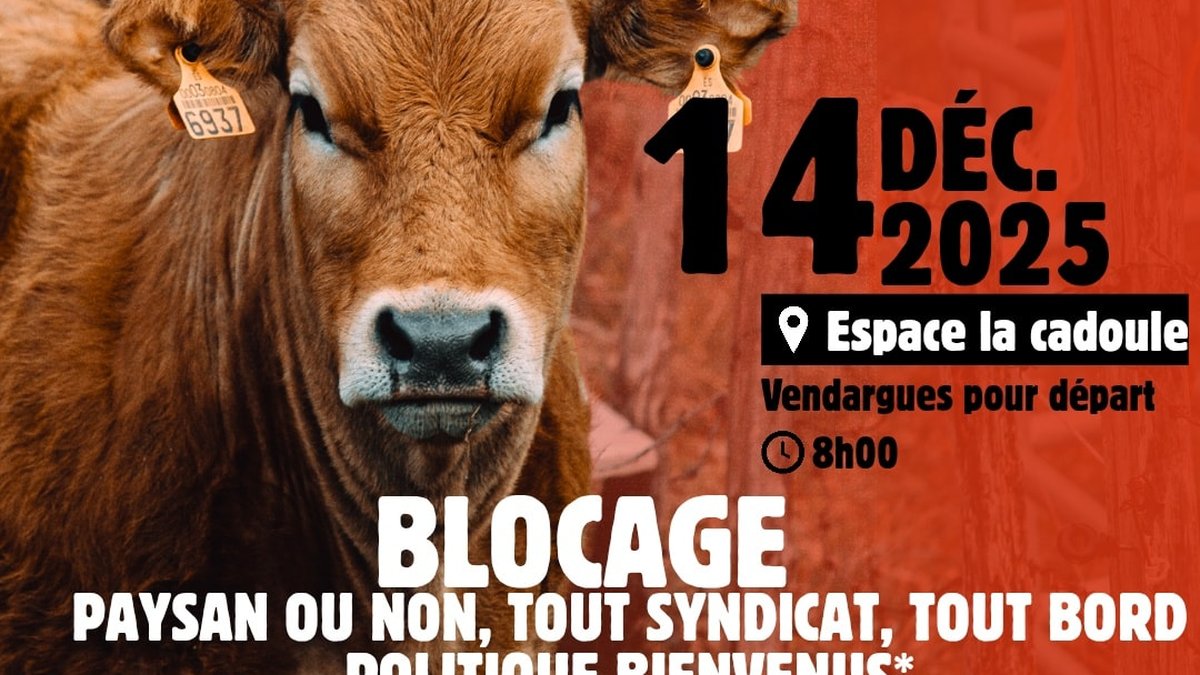 "Stop au massacre injustifié" : des agriculteurs de l’Hérault appellent à bloquer un rond-point de l’A9 près de Montpellier, ce dimanche