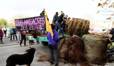 REPLAY. Dermatose nodulaire : barrage filtrant et bouchons sur la RN20, échangeur de l'A61 fermé à Bram... Retour sur cette journée de blocages des agriculteurs dans l'Aude et les Pyrénées-Orientales