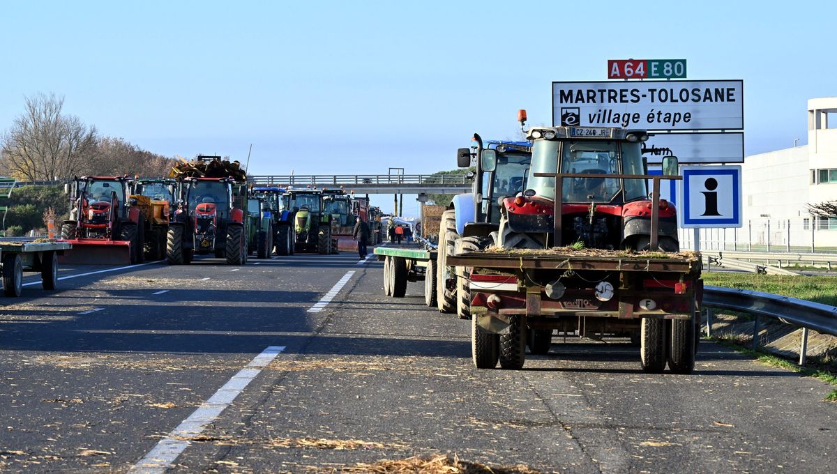 illustration agrandir l