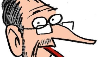 LE DESSIN DE MAN. La publicité du loup végétarien, créée à Montpellier, le croquis de la semaine.