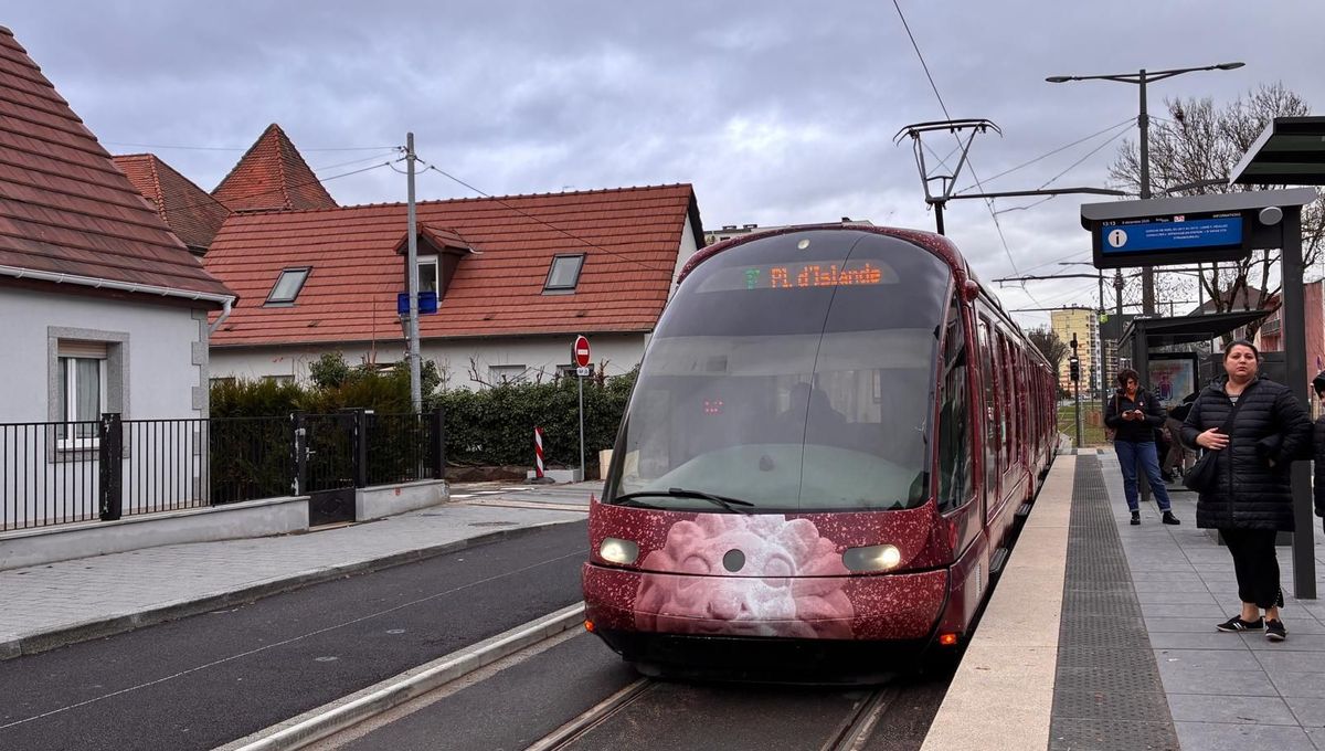 illustration agrandir l