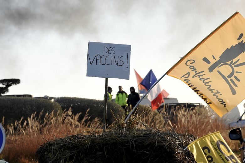 La Confédération Paysanne demande des vaccins pour les éleveurs.