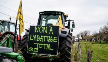 REPLAY. Dermatose nodulaire : 27 actions recensées dans le pays ce dimanche, la ministre de l’Agriculture attendue à Toulouse ce lundi