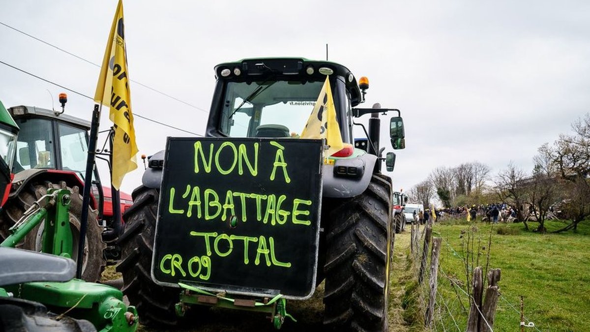 REPLAY. Dermatose nodulaire : 27 actions recensées dans le pays ce dimanche, la ministre de l’Agriculture attendue à Toulouse ce lundi