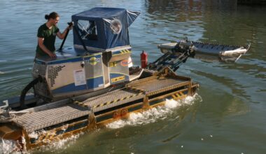 À Port-Ariane, un faucardage réalisé pour nettoyer la vasque