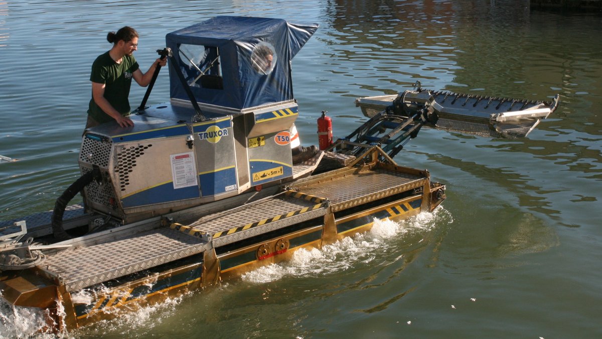 À Port-Ariane, un faucardage réalisé pour nettoyer la vasque