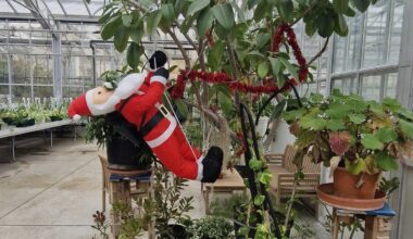 Marché de Noël au lycée Honoré de Balzac