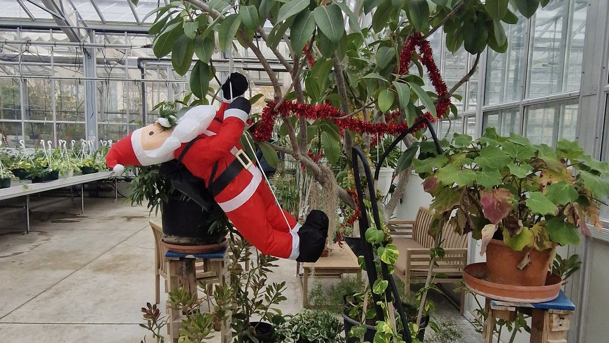 Marché de Noël au lycée Honoré de Balzac