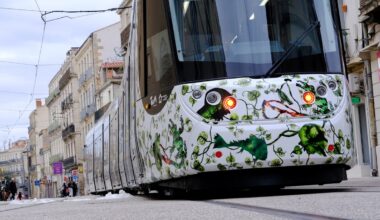 Ligne 5 de tramway à Montpellier : aviez-vous vu les visages humains disséminés sur les rames par Barthélémy Toguo ?
