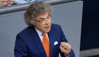 Allemagne: Un député d’extrême droite aurait fait un salut nazi au Parlement