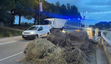 illustration agrandir l