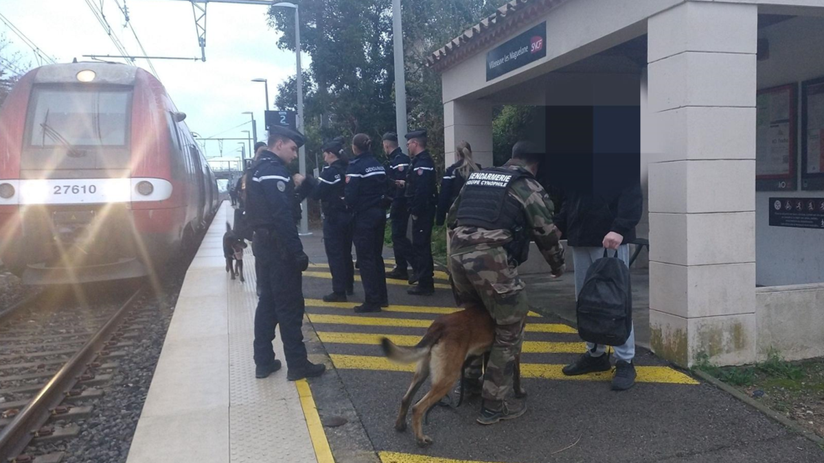 Travail dissimulé, objets contrefaits, 4 kg de marijuana saisis… lors d’une opération "Zéro délinquance" menée autour de Montpellier