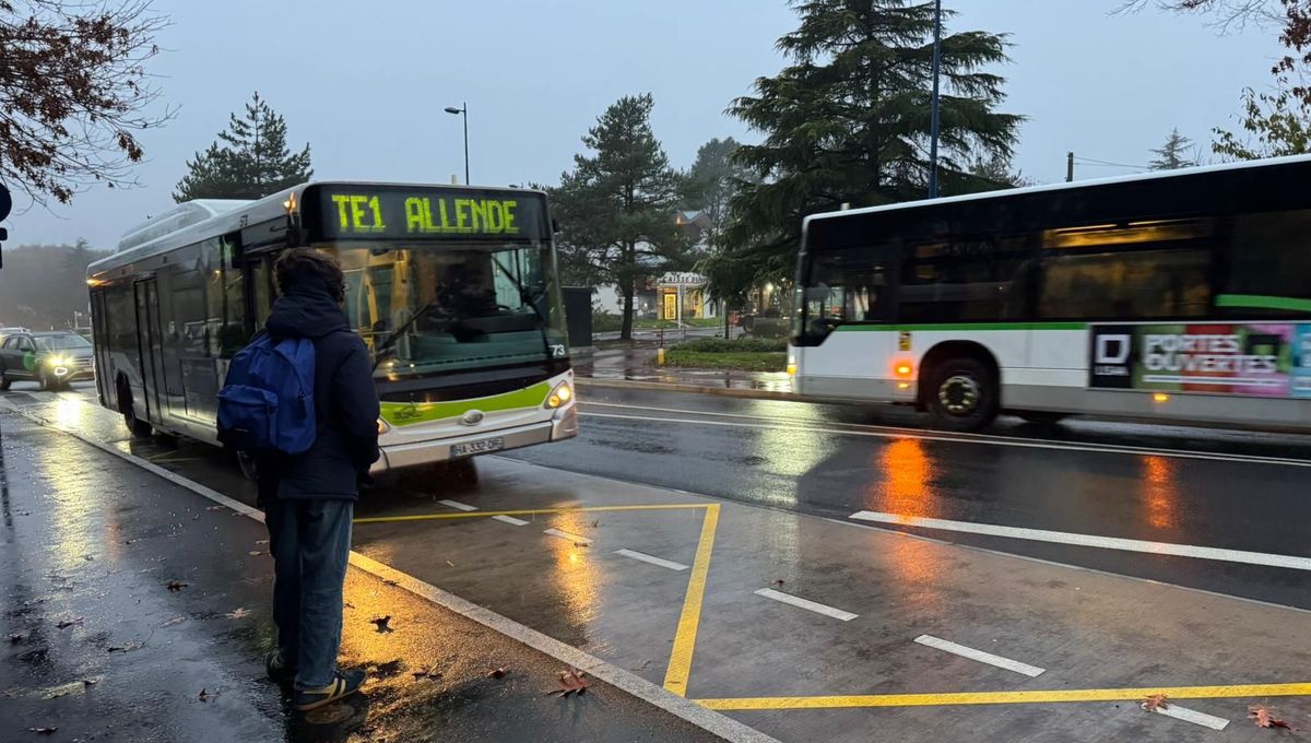 illustration agrandir l