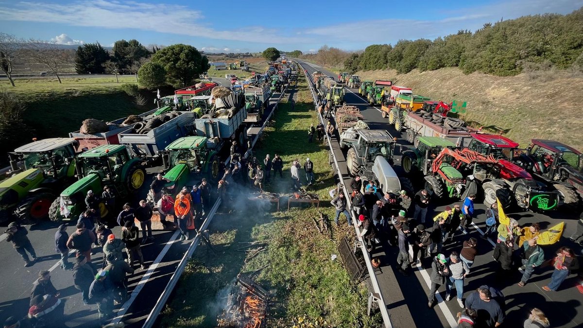 DIRECT. Dermatose nodulaire contagieuse : l’autoroute A9 bloquée à Narbonne, opération escargot sur l’A61, vers une vaccination massive de tous les bovins dans l’Aude… Le point à 14 heures sur la mobilisation des agriculteurs