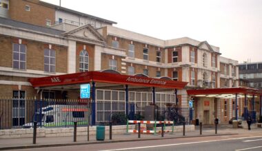 Il joue à la balançoire et la branche casse : l’adolescent tombe, perd connaissance et s’étouffe dans son vomi