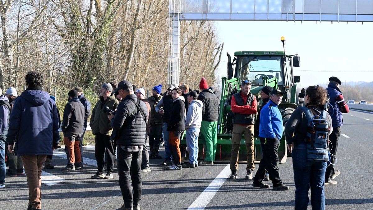 DIRECT. Dermatose nodulaire : les agriculteurs se mobilisent vers le périphérique de Toulouse, une opération escargot attendue dans la journée