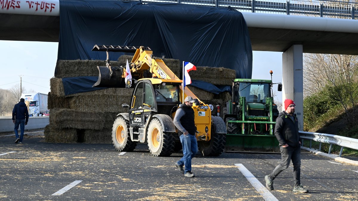 Dermatose Nodulaire : reprise du trafic sur l’A61 vers Narbonne, un retour progressif attendu vers Toulouse