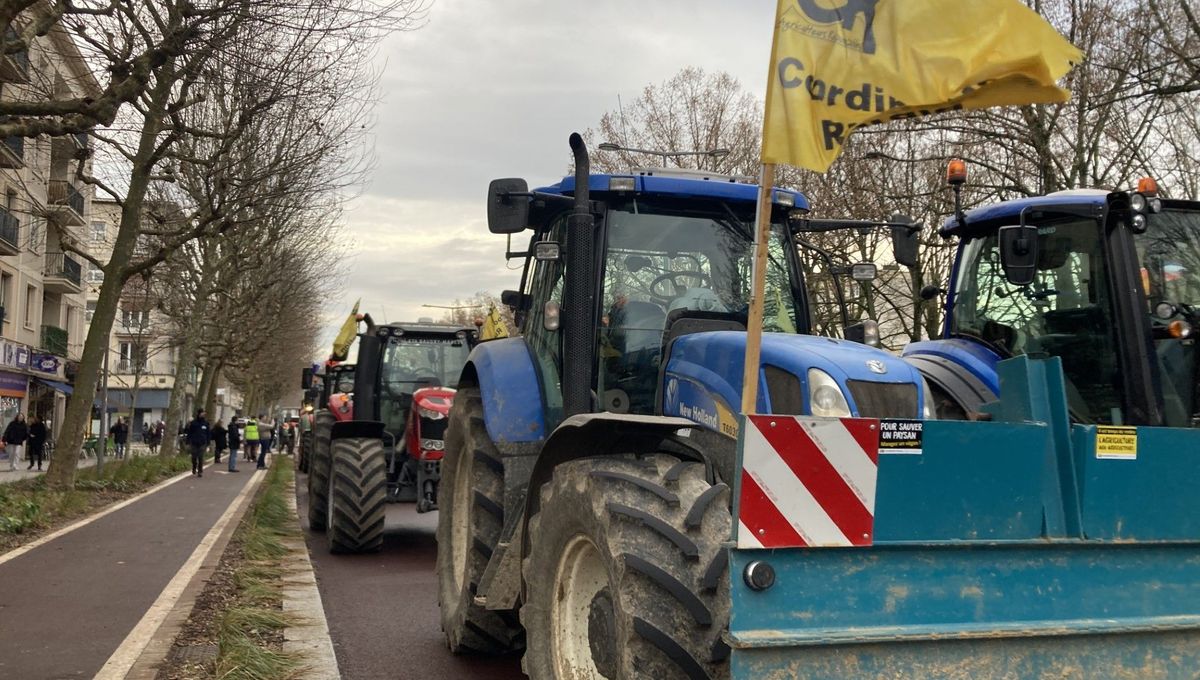 illustration agrandir l