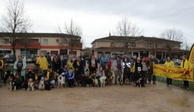 Saint-Étienne-de-Tulmont. Les amis des chiens ont boosté le Téléthon