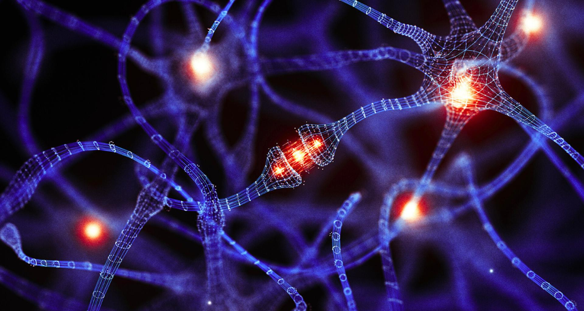 une cellule du cerveau méconnue pourrait tout changer