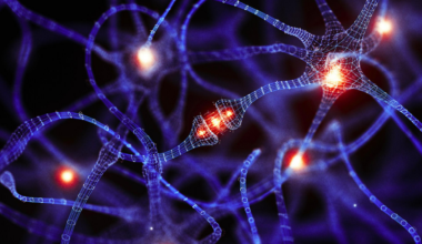 une cellule du cerveau méconnue pourrait tout changer