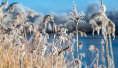 Météo : le froid revient, l’épisode "Moscou-Paris" va faire chuter les températures pour les fêtes de fin d’année