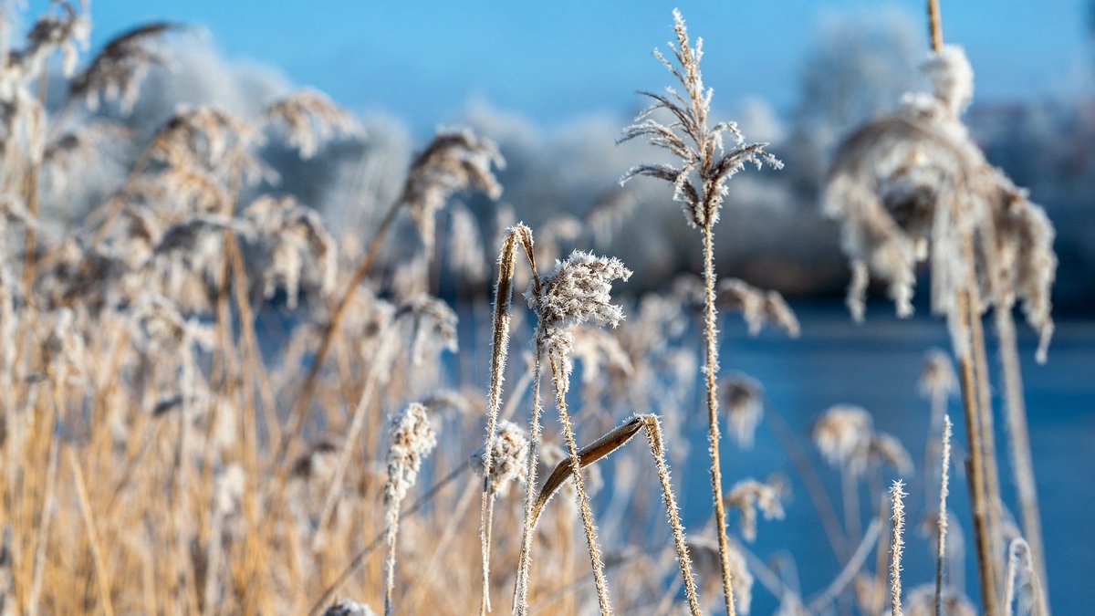 Météo : le froid revient, l’épisode "Moscou-Paris" va faire chuter les températures pour les fêtes de fin d’année