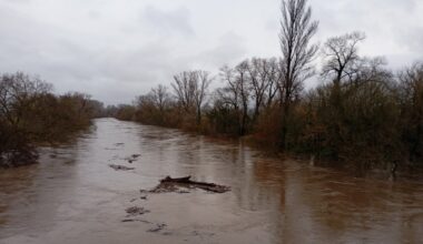 "L’eau peut encore remonter cette nuit" : prudence, l’Hérault aval placé en vigilance orange crues au niveau de la plaine