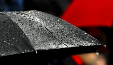 REPLAY. Météo : l’Hérault placé en vigilance rouge crues, près de 1 000 foyers privés électricité dont 520 à Montpellier