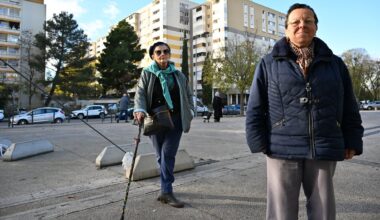 Municipales 2026 à Montpellier : à la Mosson on veut préserver l’identité de La Paillade mais sans les sangliers et les incivilités