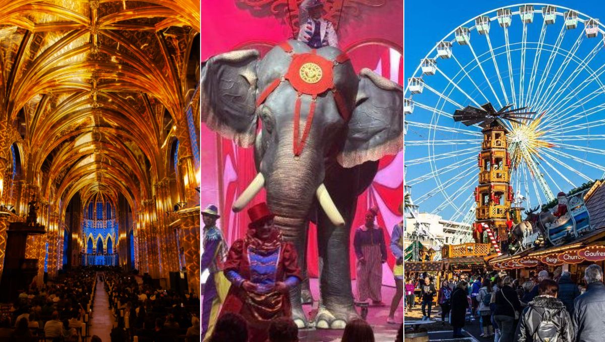 illustration agrandir l