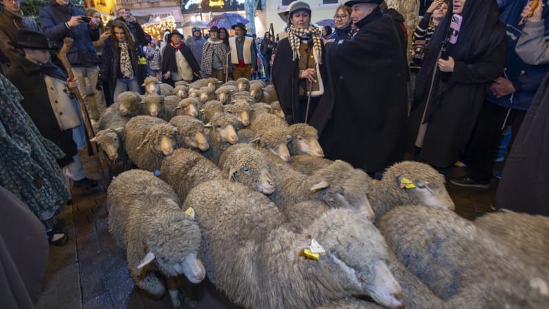 Au moins 10 000 personnes ont assisté ce mercredi 24 décembre à la descente des bergers, qui rassemblent passionnés, amateurs de folklore et curieux à Allauch.
