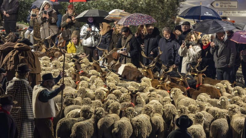 Au moins 10 000 personnes ont assisté ce mercredi 24 décembre à la descente des bergers, qui rassemblent passionnés, amateurs de folklore et curieux à Allauch.