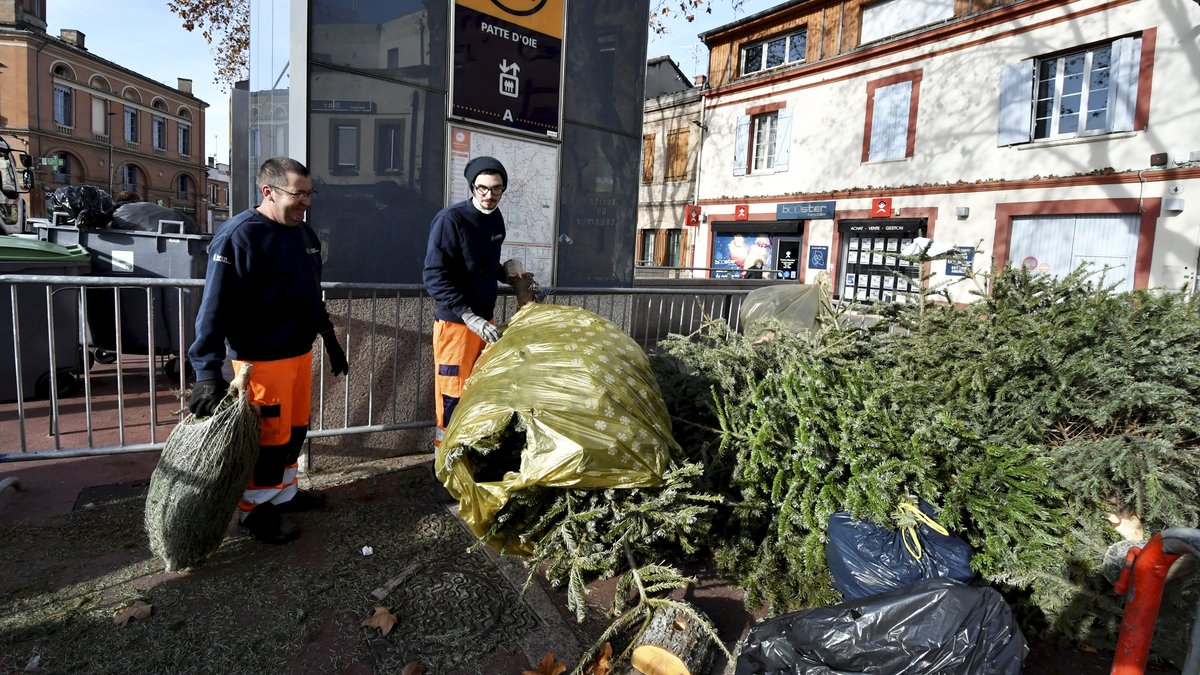 Pas envie de se prendre une amende de 135 € ? Où jeter son sapin après les fêtes à Toulouse… en toute légalité
