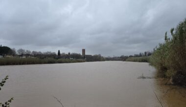 "C’est le meilleur épisode de pluie depuis le début de la sécheresse" : les nappes des Pyrénées-Orientales se rechargent enfin