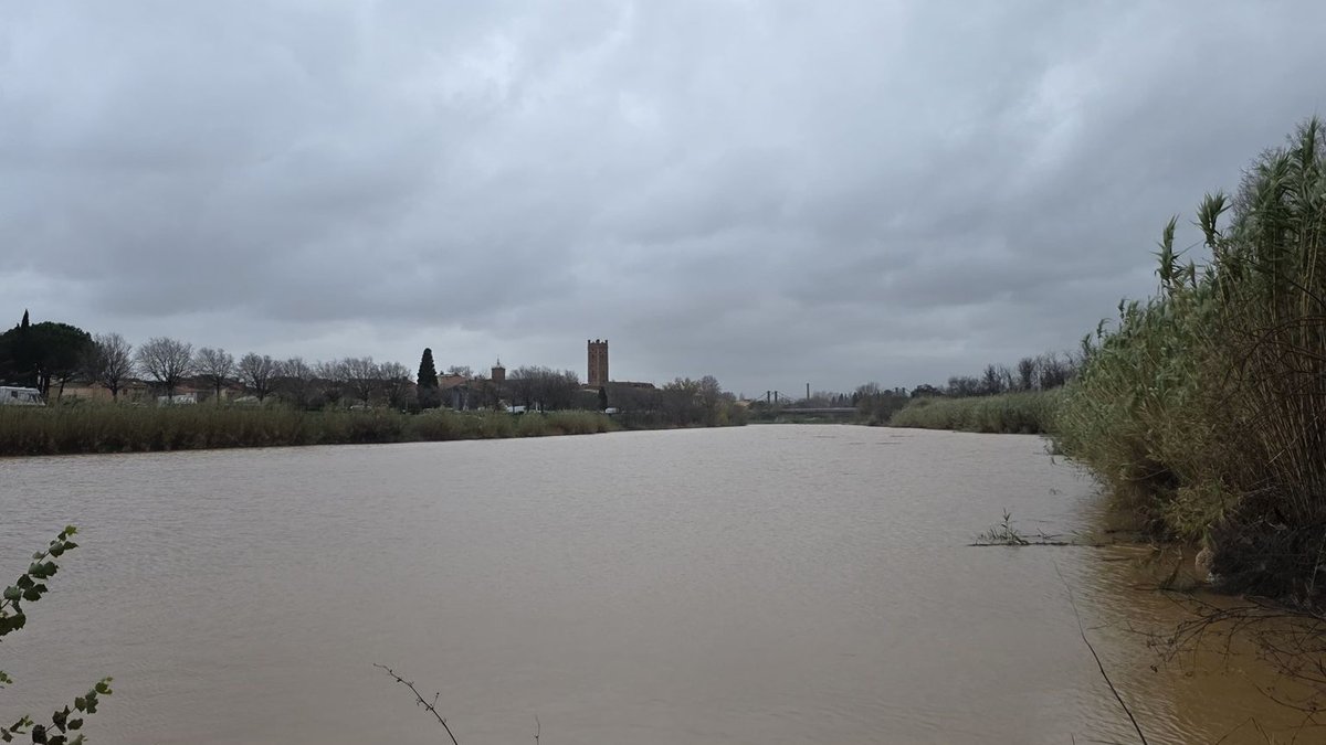 "C’est le meilleur épisode de pluie depuis le début de la sécheresse" : les nappes des Pyrénées-Orientales se rechargent enfin