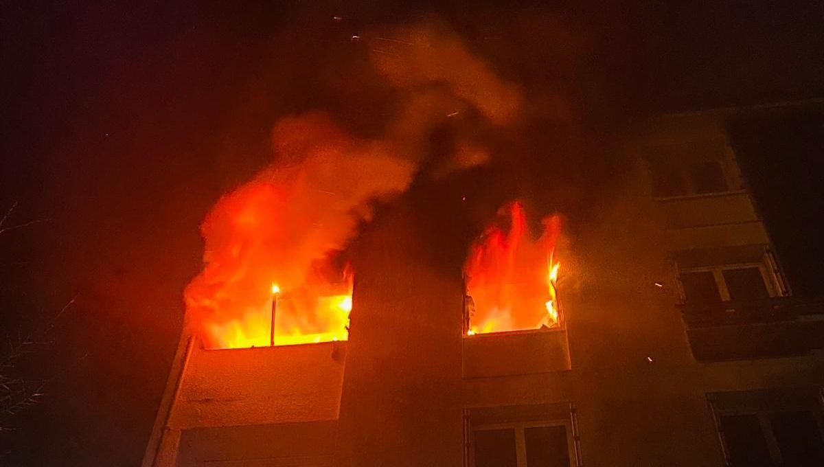 illustration agrandir l