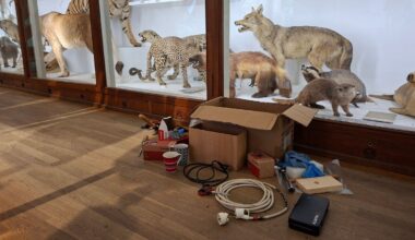 "Un travail minutieux" : le Museum d'histoire naturelle de Nantes prépare le déménagement de ses collections