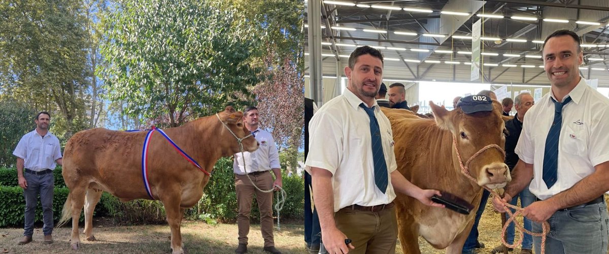 Reportage. "Je suis beaucoup moins stressé que j’ai pu l’être" : Thomas Combezou (ancien joueur de Castres), devenu agriculteur raconte sa reconversion