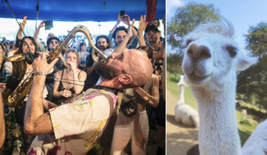 à Strasbourg et alentours, 2025 racontée en 25 photos