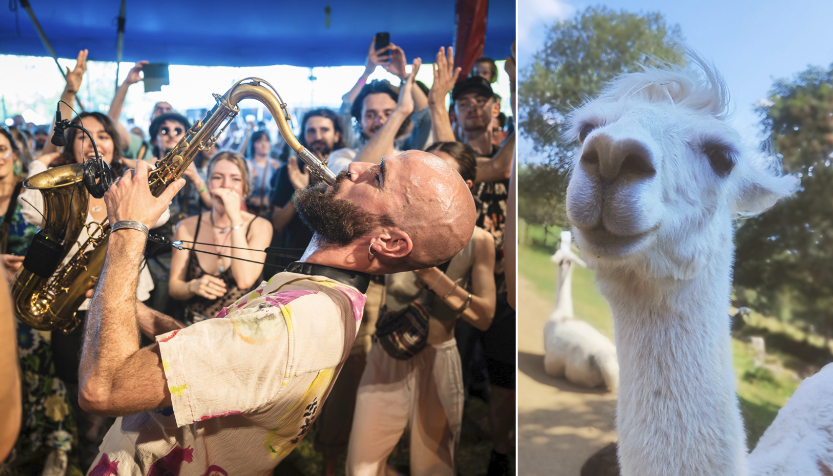 à Strasbourg et alentours, 2025 racontée en 25 photos