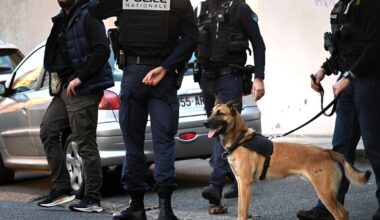 INFO LA DÉPÊCHE. Herbe, cannabis, cocaïne… 13 kg de drogue et des armes trouvés chez la "nourrice"