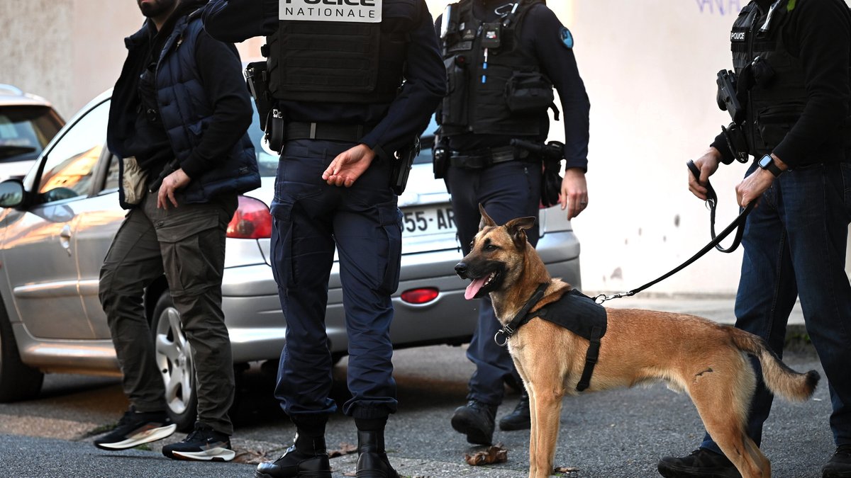 INFO LA DÉPÊCHE. Herbe, cannabis, cocaïne… 13 kg de drogue et des armes trouvés chez la "nourrice"