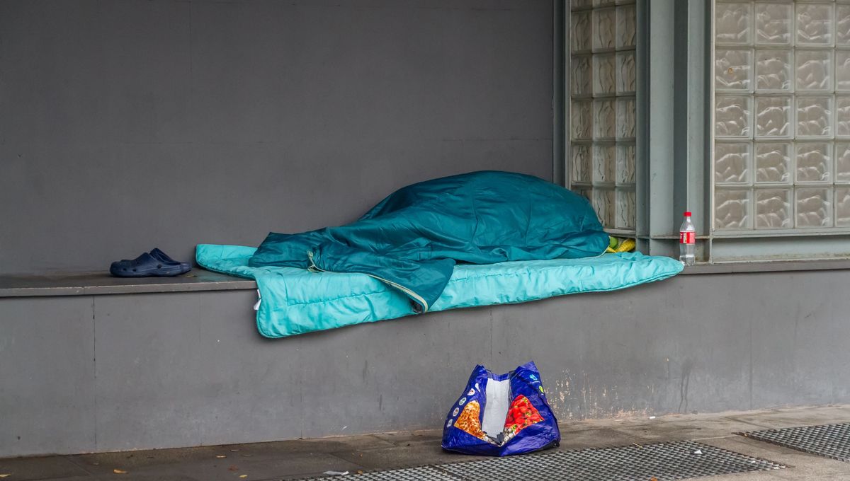 illustration agrandir l