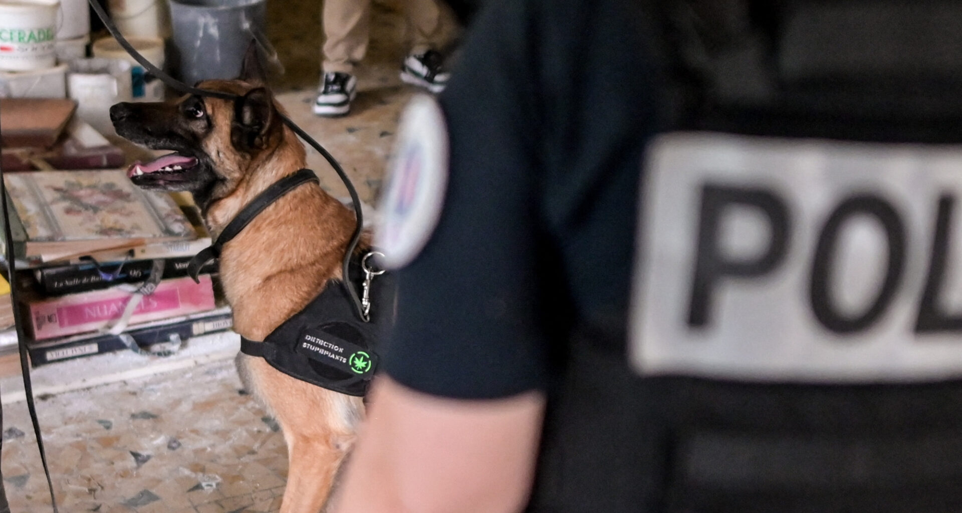 un dealer de 18 ans interpellé avec 1.000 euros dans ses chaussures